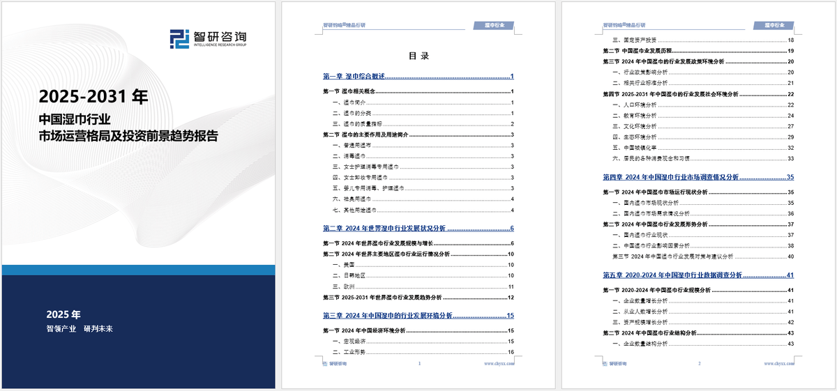 湿巾行业市场深度分析及发展前景研究报告EVO视讯平台智研咨询发布：2025年(图6)