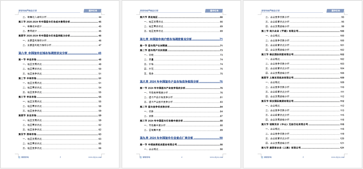 湿巾行业市场深度分析及发展前景研究报告EVO视讯平台智研咨询发布：2025年(图5)