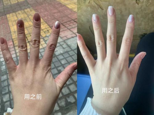 10款护手霜推荐第一名当之无愧！EVO视讯2025年口碑最好的(图2)