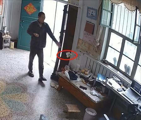 密老公却声称是误会网友表示：教教我EVO真人平台女子在监控发现老公秘(图16)