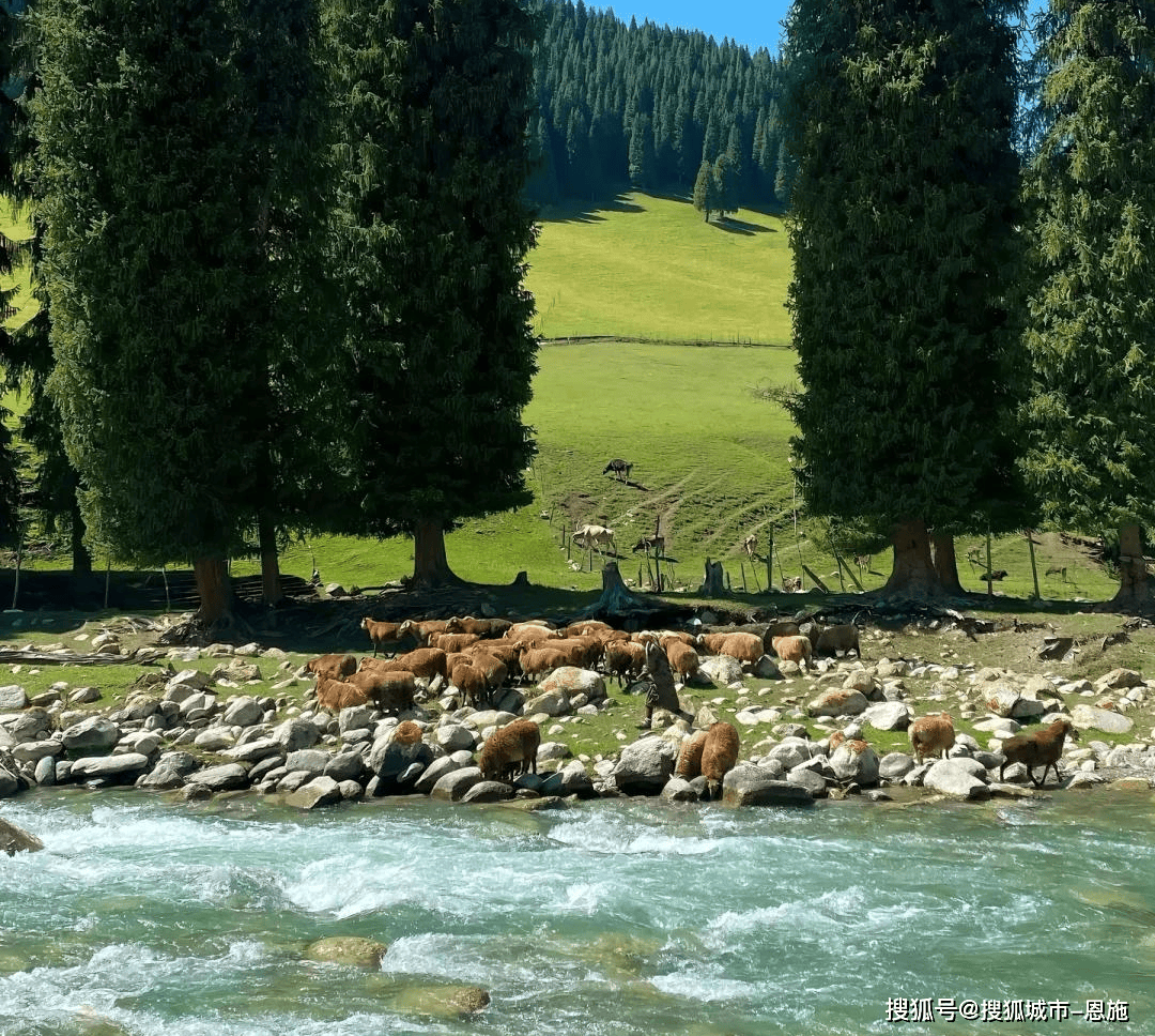 团价格：五日程安排、人均费用全攻略EVO视讯新疆报团游5天4晚纯玩(图1)